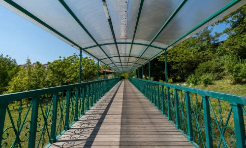 Пансионат Шексна