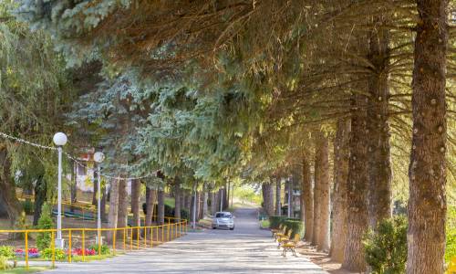 Санаторий Пикет - Фото 10