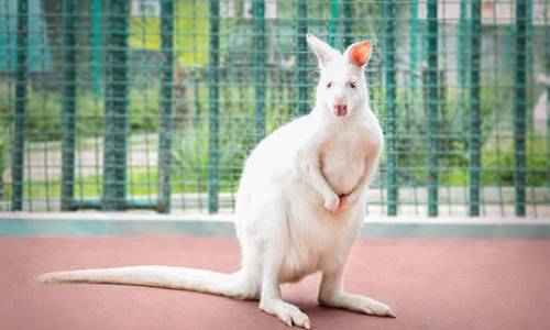 Санаторий Октябрьский «РЖД-ЗДОРОВЬЕ» - Фото 59