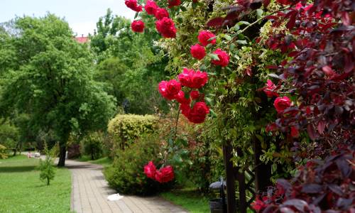 Пансионат Бургас - Фото 13