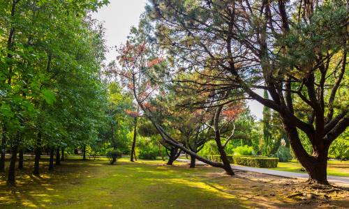 Санаторий Адлеркурорт Дельфин