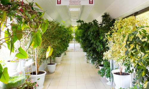 Санаторий Родник