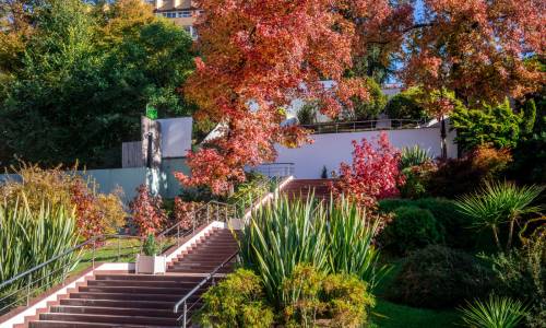 Санаторий Беларусь - Фото 25