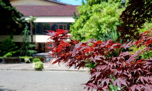 Пансионат Бургас - Фото 9