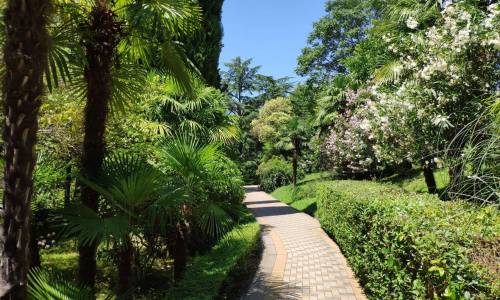 Санаторий Беларусь - Фото 27