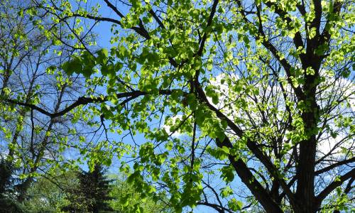 Санаторий Орджоникидзе - Фото 10