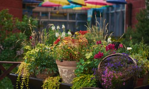 Санаторий Виктория - Фото 10