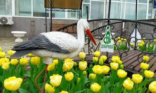 Санаторий Дубрава