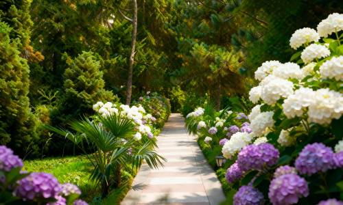 Санаторий Южное Взморье - Фото 10