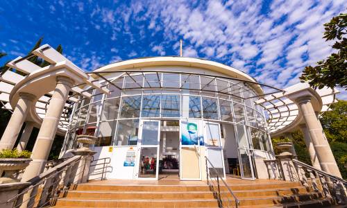 Санаторий Адлеркурорт Дельфин