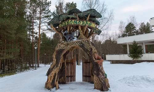 Санаторий Дюны Ленинградская область - Фото 15. Территория