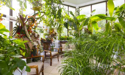 Санаторий Родник