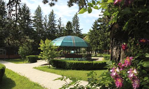 Санаторий Лесной