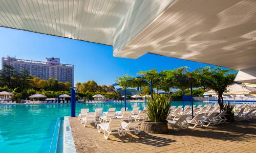 Санаторий Адлеркурорт Дельфин