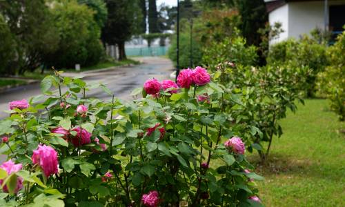 Пансионат Бургас - Фото 14