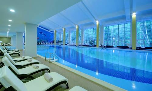 Отель «LES Art Resort» Москва и Подмосковье - Фото 22. Бассейн крытый