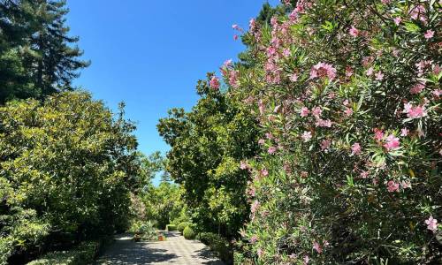 Санаторий Беларусь - Фото 51