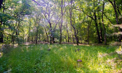 Санаторий Долина Нарзанов - Фото 7