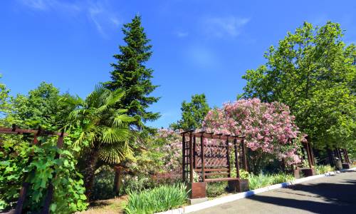 Санаторий Магадан