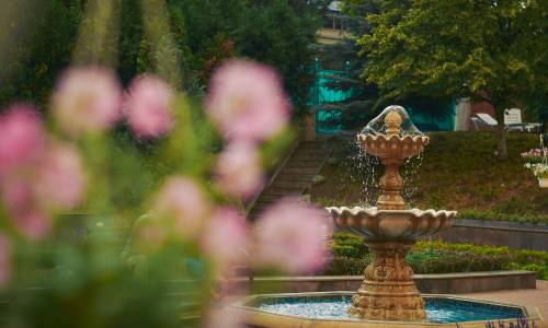 Санаторий Виктория - Фото 7