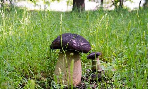 Санаторий Долина Нарзанов - Фото 8