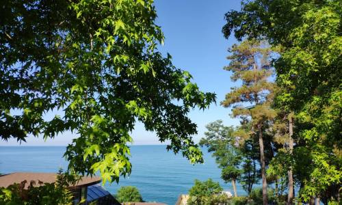 Санаторий Беларусь - Фото 39