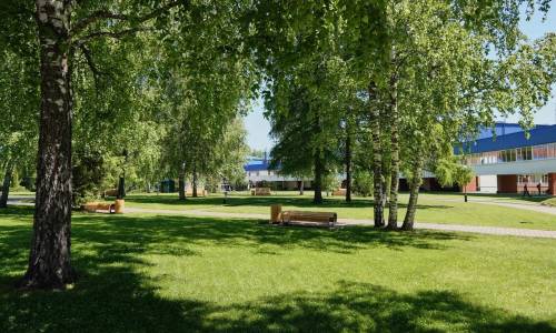Санаторий Каникулы в Аксаково Москва и Подмосковье - Фото 9. Территория