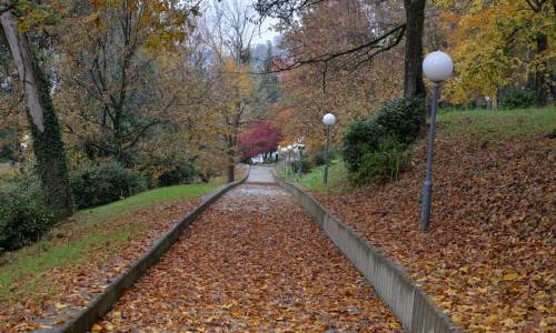 Оздоровительный комплекс Дагомыс - Фото 6