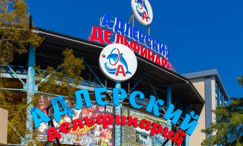 Санаторий Адлеркурорт Дельфин