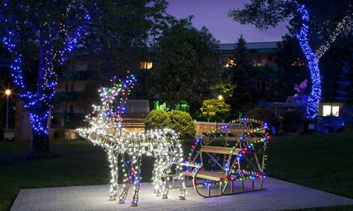 Санаторий Лесной