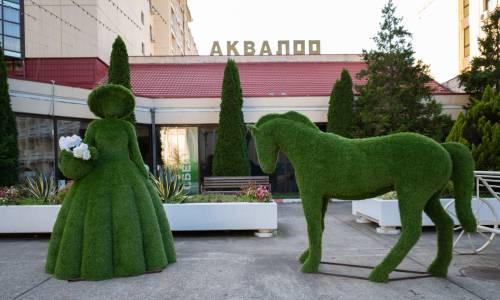 АкваЛоо - Лечебно-оздоровительный комплекс - Фото 18