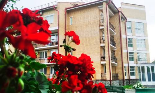 Санаторий Виктория Москва и Подмосковье - Фото 6. Общий вид