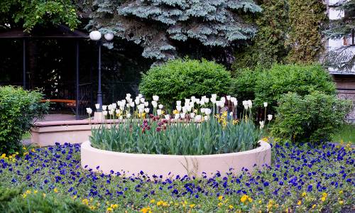 Санаторий Долина Нарзанов - Фото 10