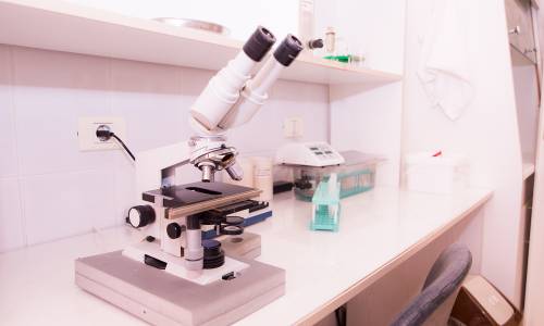 Санаторий Долина Нарзанов - Фото 69