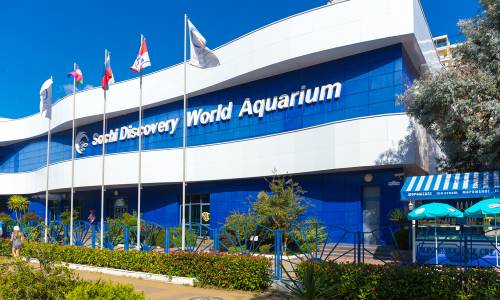 Санаторий Адлеркурорт Дельфин