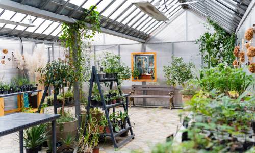 Санаторий Знание