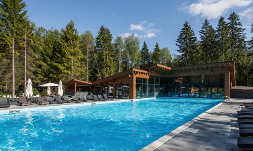 Отель «LES Art Resort» Москва и Подмосковье - Фото 3. Бассейн