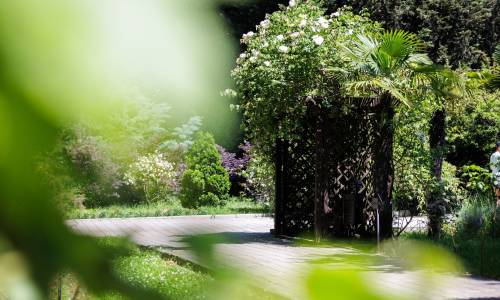 Пансионат Бургас - Фото 10