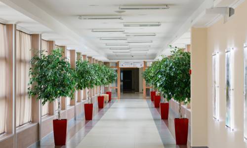 Санаторий Русь