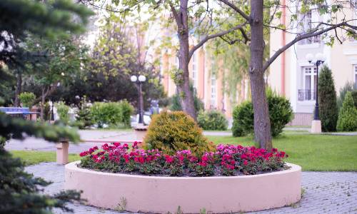 Санаторий Долина Нарзанов - Фото 11