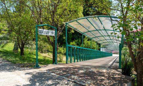 Пансионат Шексна Сочи, Вардане - Фото 9. Территория
