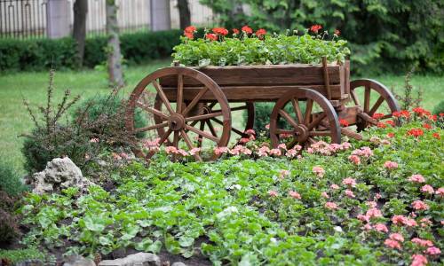 Санаторий Нива