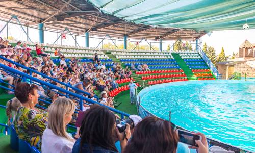 Санаторий Адлеркурорт Дельфин