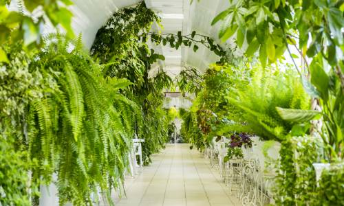 Санаторий Родник