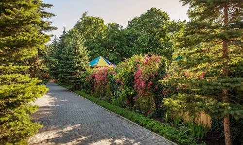 Санаторий Вилла Арнест - Фото 24