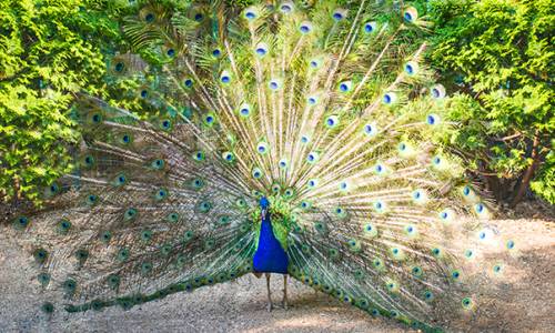 Санаторий Октябрьский «РЖД-ЗДОРОВЬЕ» - Фото 57