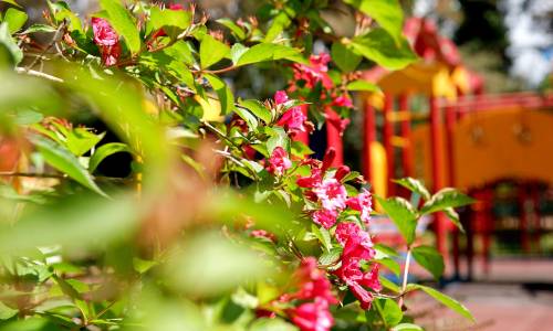 Пансионат Бургас - Фото 12