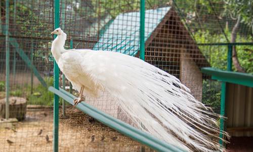 Санаторий Октябрьский «РЖД-ЗДОРОВЬЕ» - Фото 54