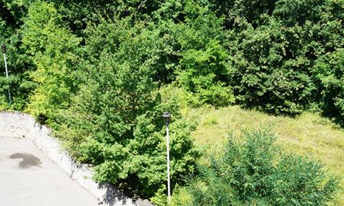 Санаторий Долина Нарзанов - Фото 15