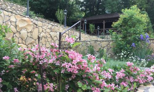 Княжна Мери медицинский центр - Фото 13